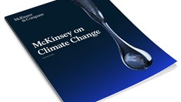McKinsey on Climate Change