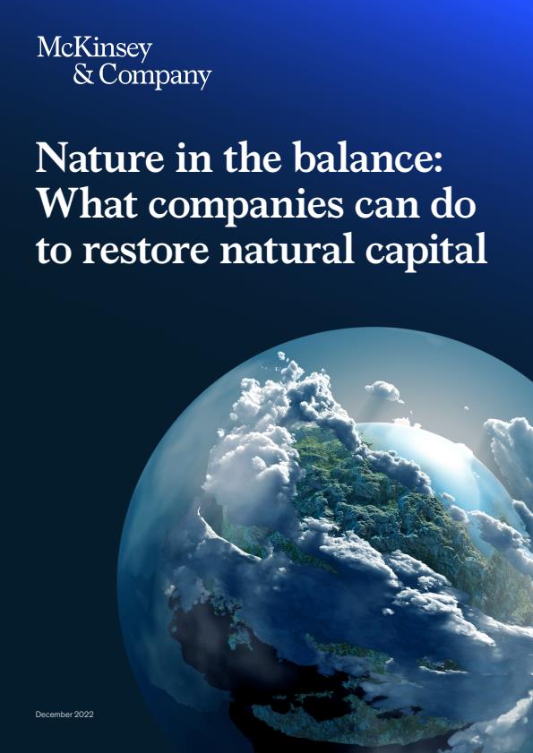 Nature in the balance: companies can to restore natural capital McKinsey
