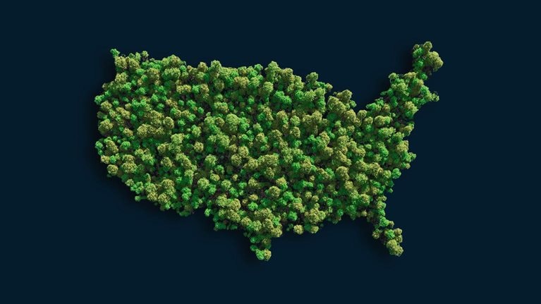 Trees in shape of United States map