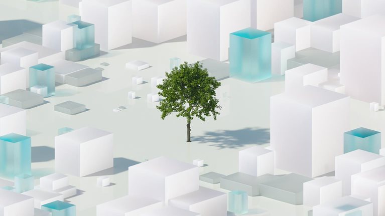 Tree in the middle of buildings