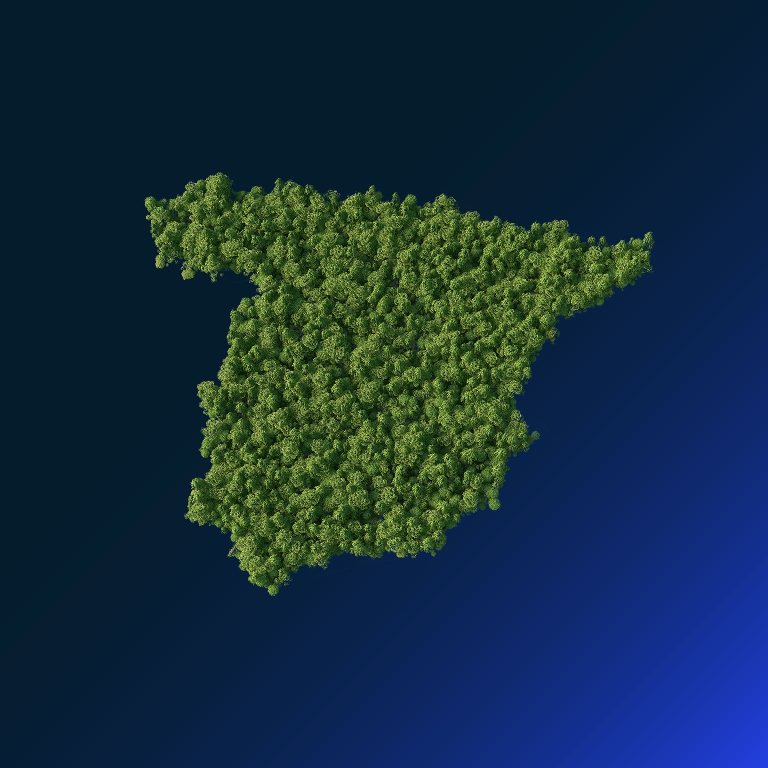 forest in the Spain map shape - stock illustration