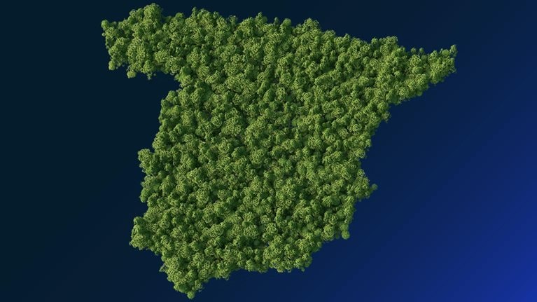 forest in the Spain map shape - stock illustration