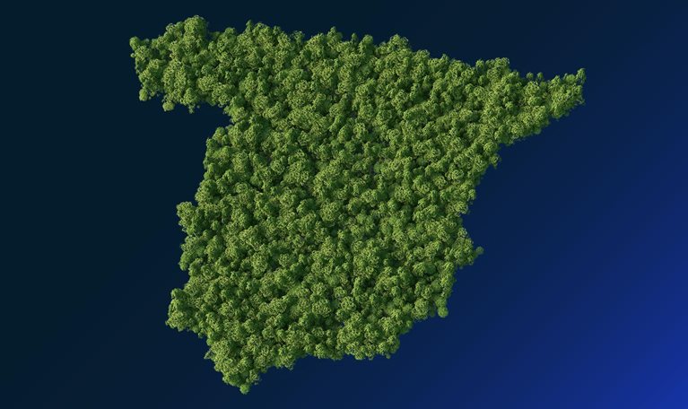 forest in the Spain map shape - stock illustration