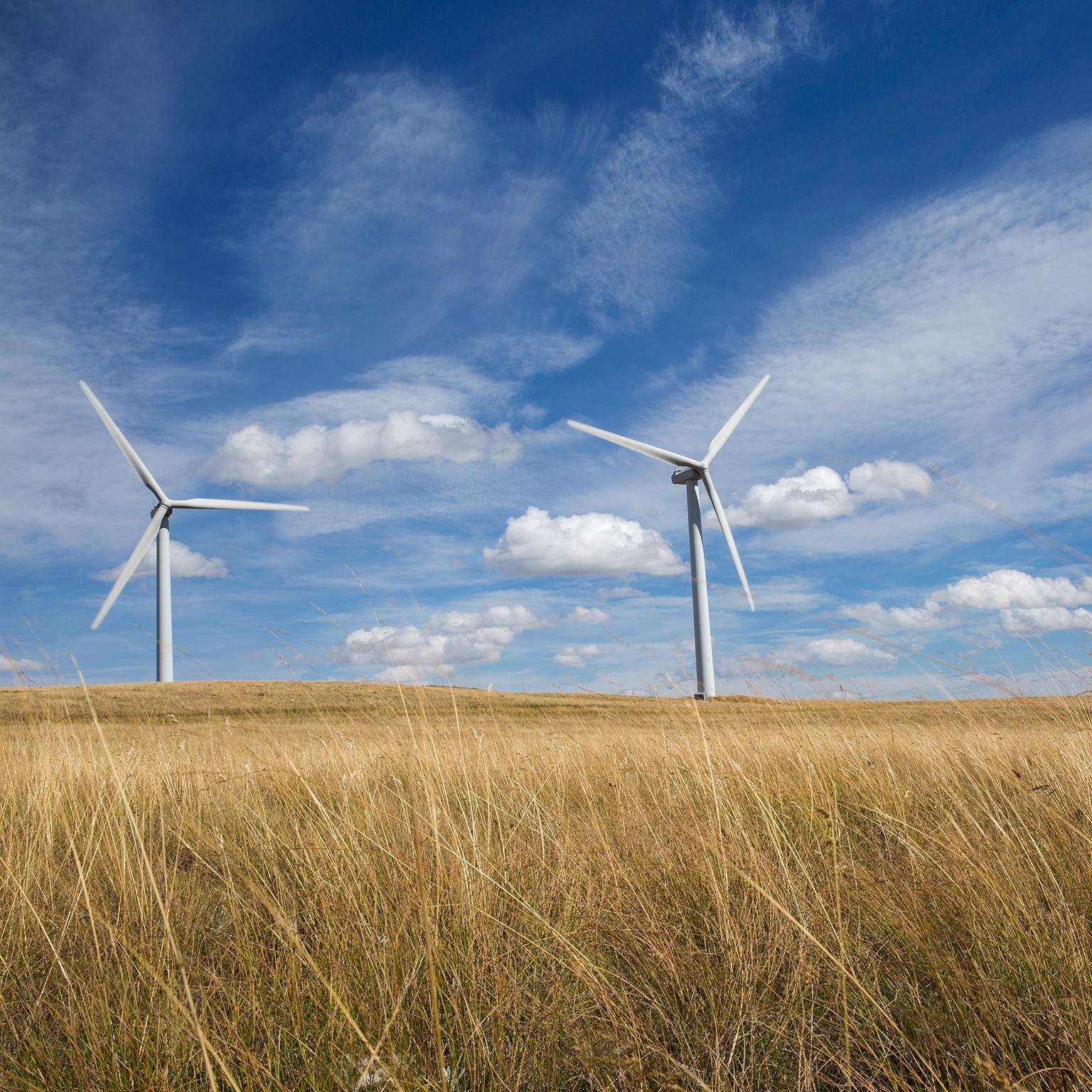 pathways-and-obstacles-to-a-low-carbon-economy_530054551_1536x1536_Standard