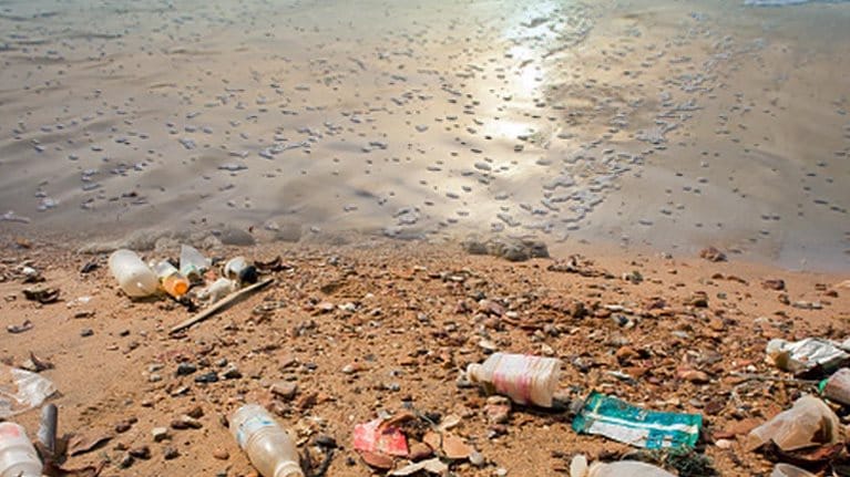 IandP_Saving-the-ocean-from-plastic-waste_1536x1536_Original