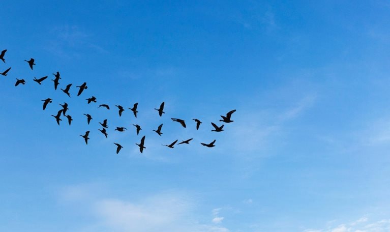 Spotting green business opportunities in a surging net zero world