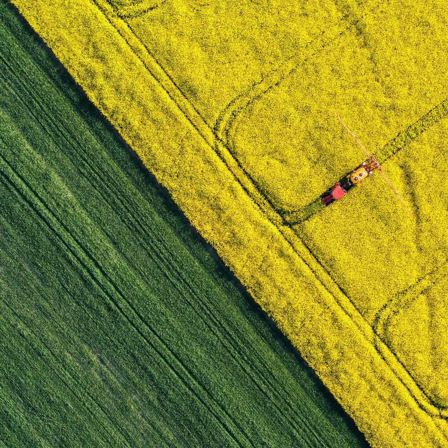 Supply-chains-thumbnail-1536x1536-200_Standard