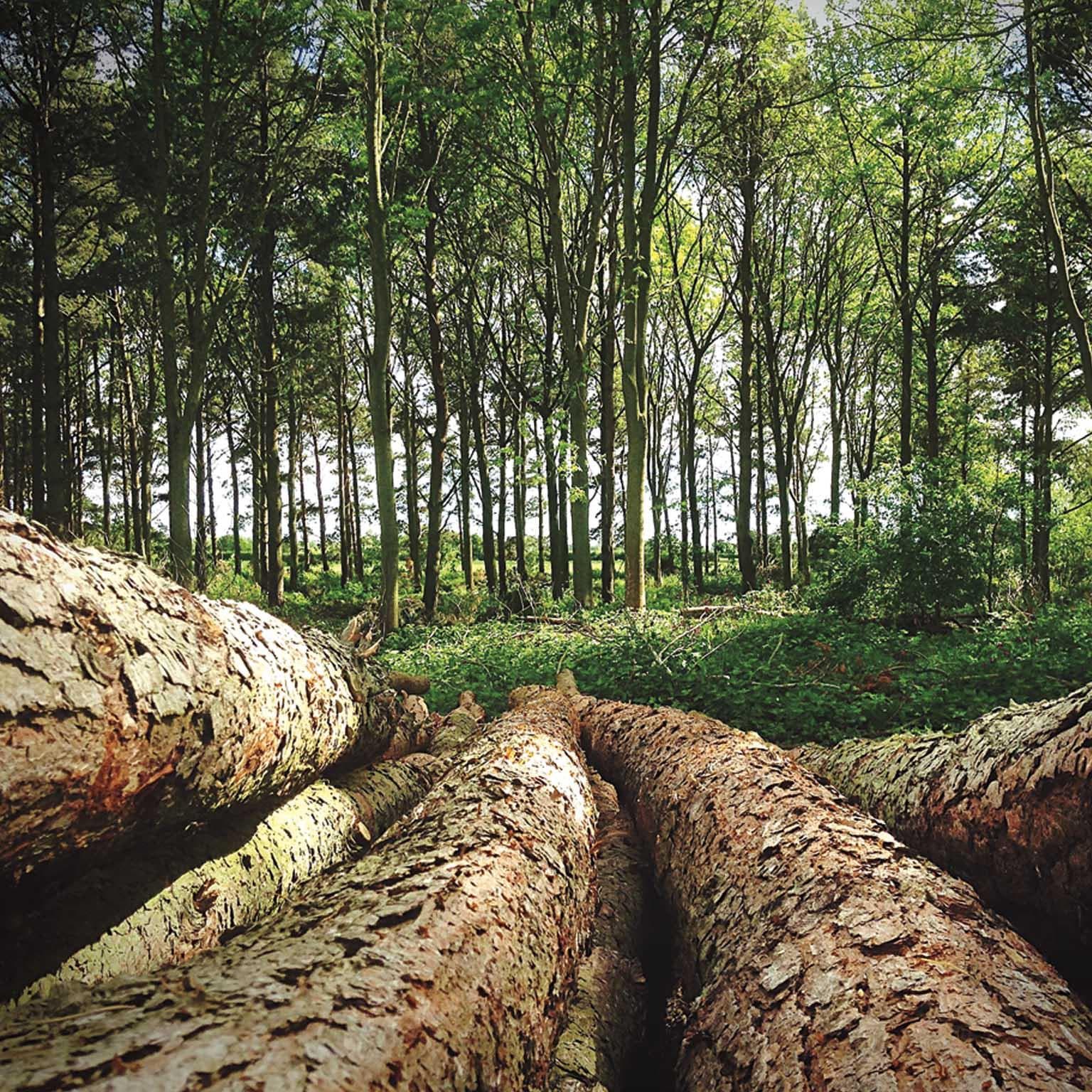 Taking-conservation-finance_1536x1536_Standard