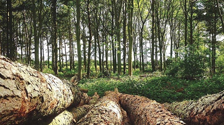 Taking-conservation-finance_1536x1536_Standard