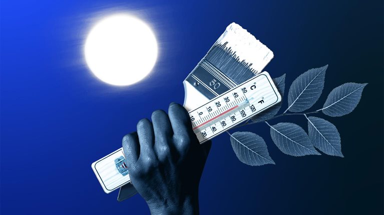 A raised hand grasping a thermometer showing a very high temperature, some leaves, and a paintbrush with white paint that has been dipped in white paint, with a bright sun in the background.