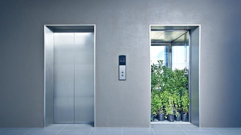 Office elevator full of plants