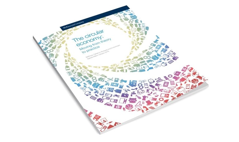 The circular economy Moving from theory to practice