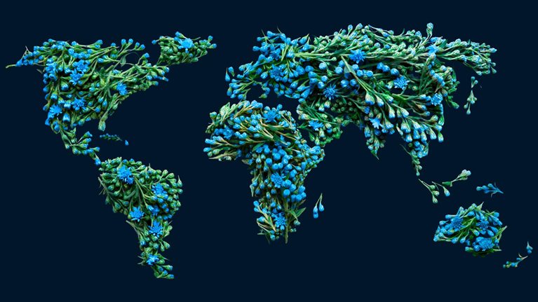 Map of the world designed in flowers