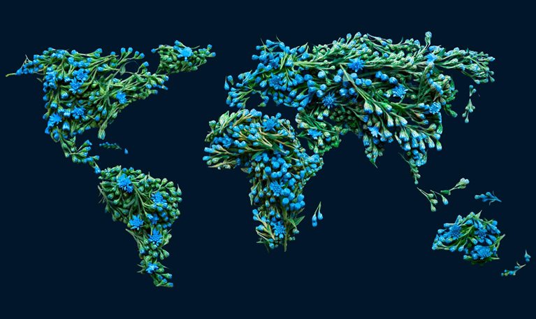 Map of the world designed in flowers