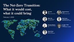 Screenshot from "The net-zero transition" webinar