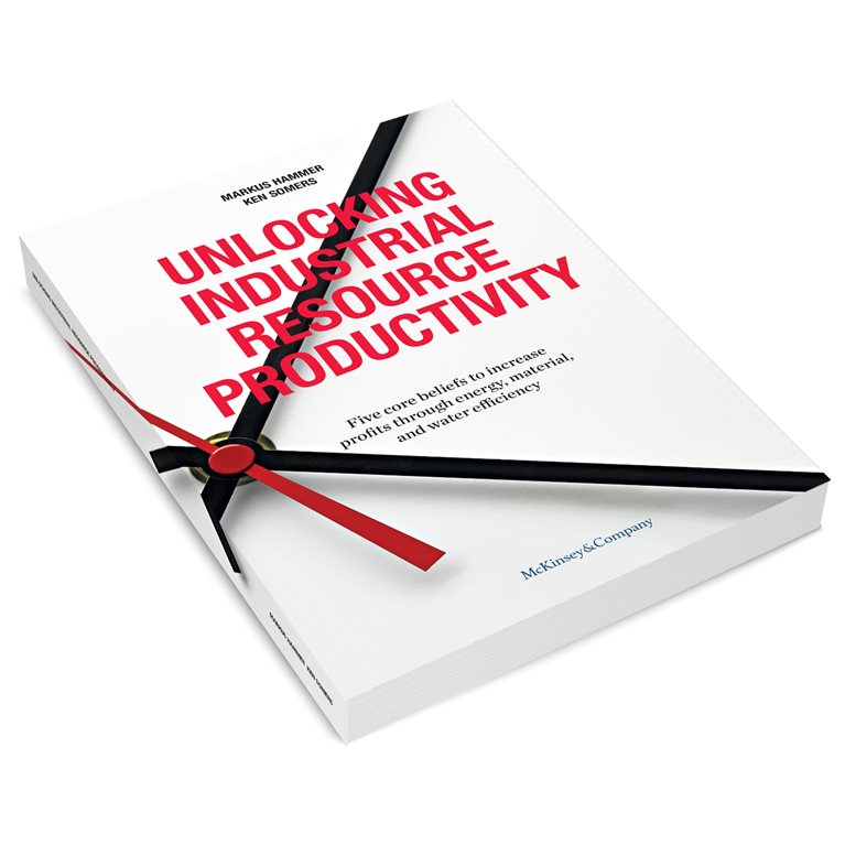 Unlocking Industrial Resource Productivity: 5 Core Beliefs to Increase Profits through Energy, Material, and Water Efficiency