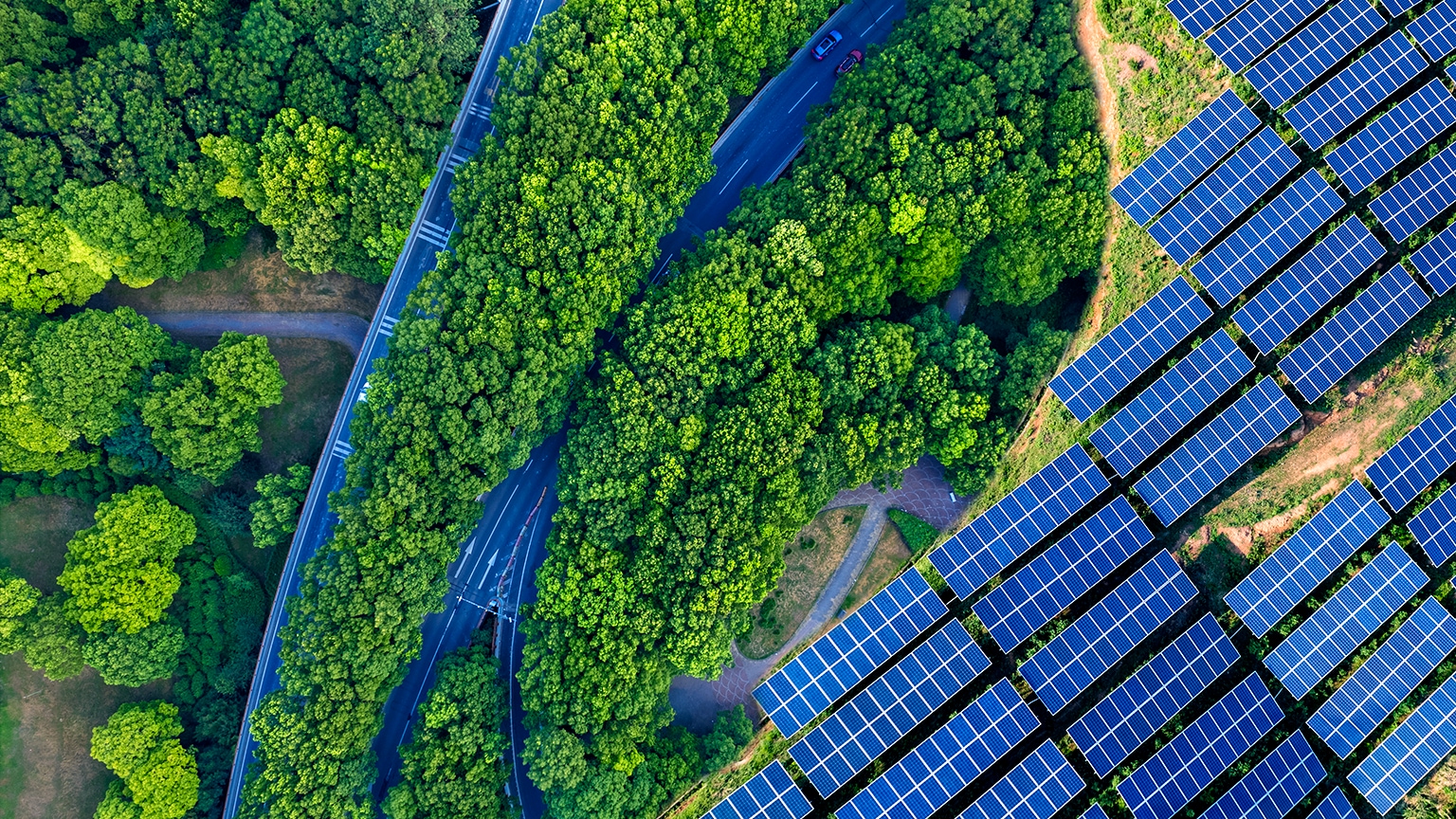 At COP15, new urgency on what governments and companies can do to restore natural capital