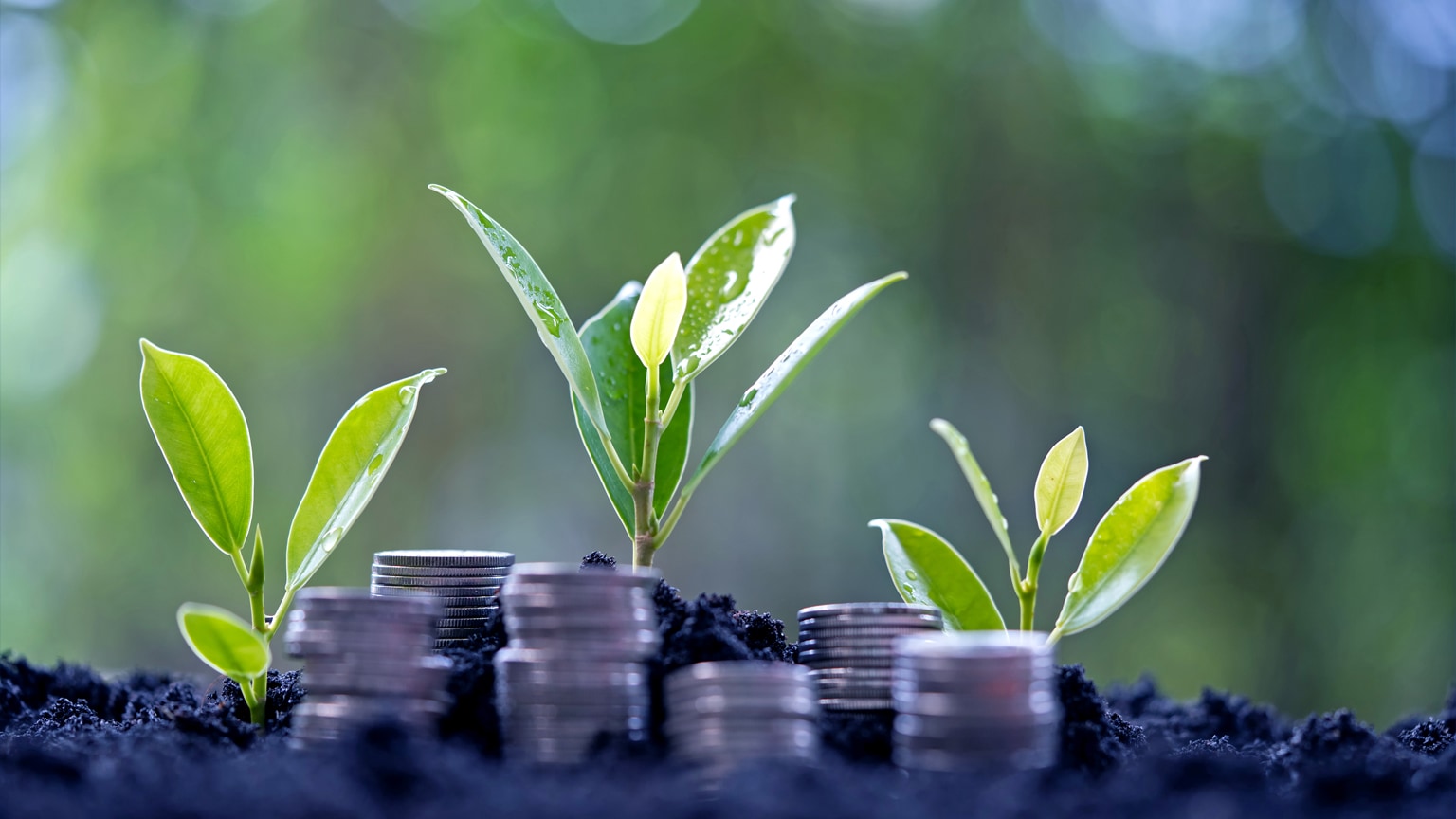 How decarbonization creates value for consumer companies