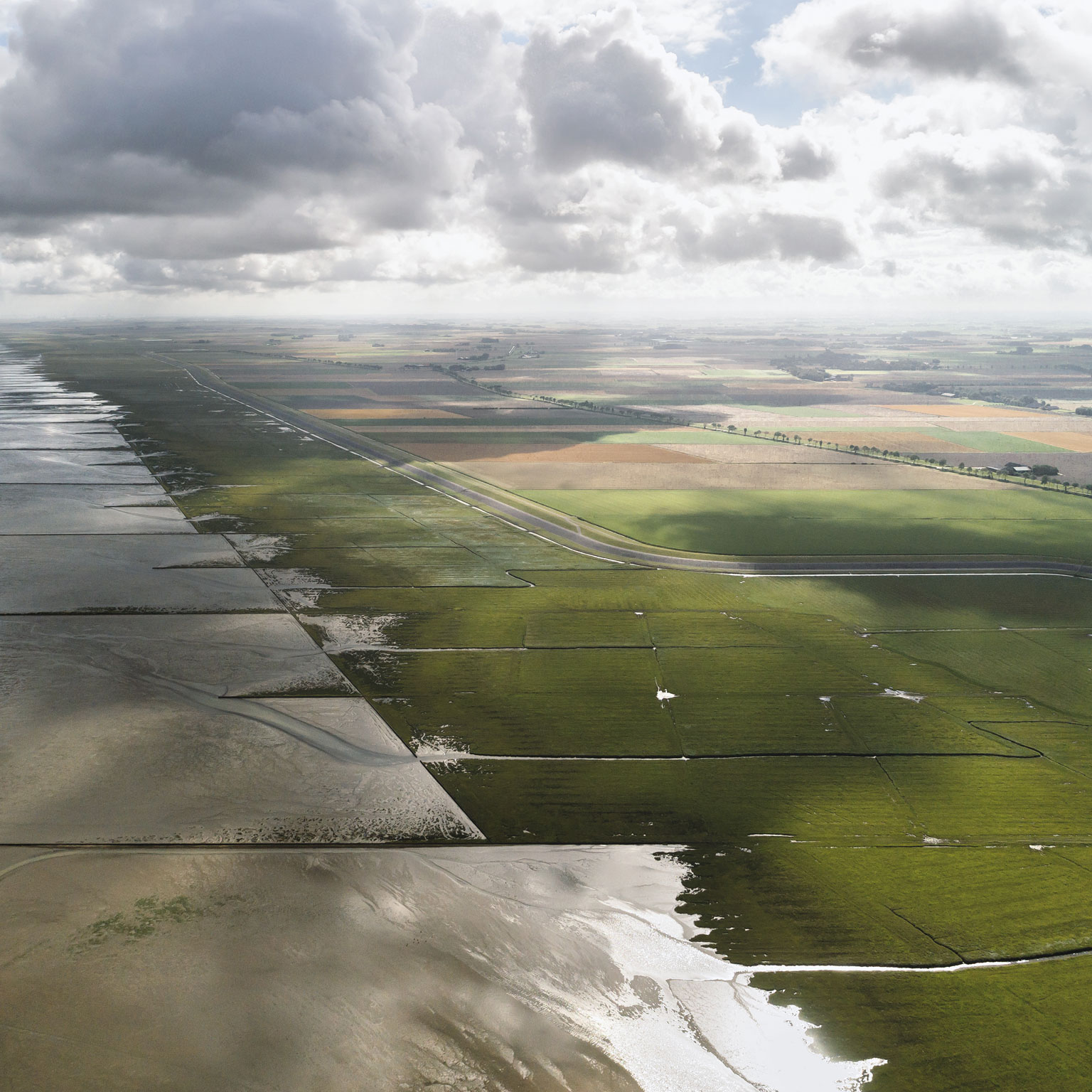 It’s time to scale up natural climate solutions—here’s how