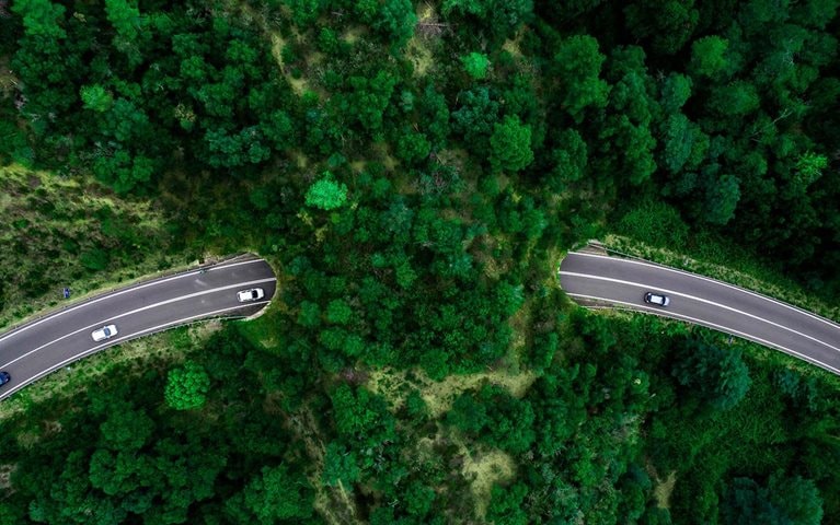 Nature risk is the next challenge that demands a global solution