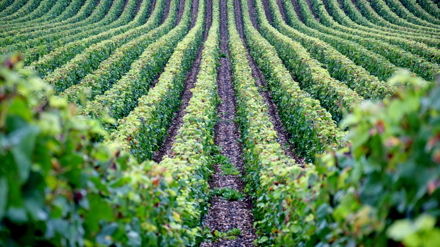 Tackling Scope 3 emissions through supplier collaboration