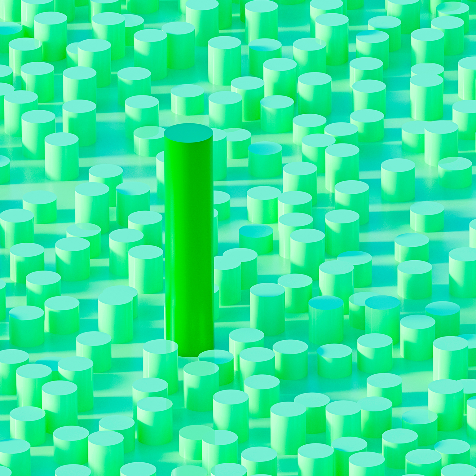 Green cylinder stands taller than surrounding shorter ones