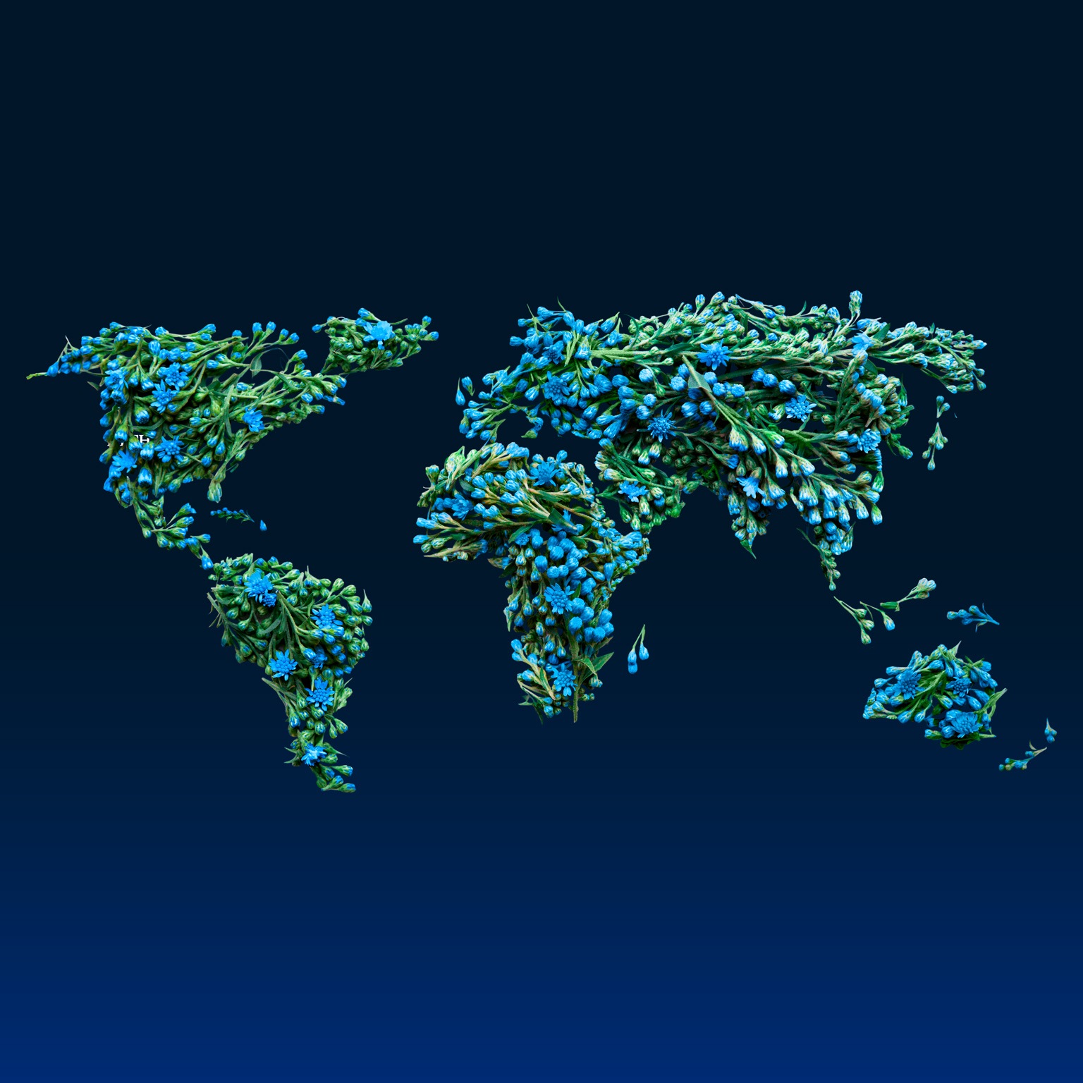 Watch the replay: Leading voices discuss implications of the net-zero transition