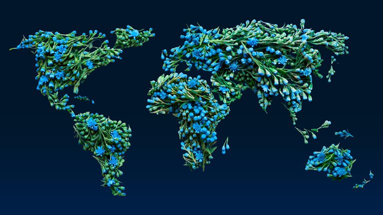 Watch the replay: Leading voices discuss implications of the net-zero transition