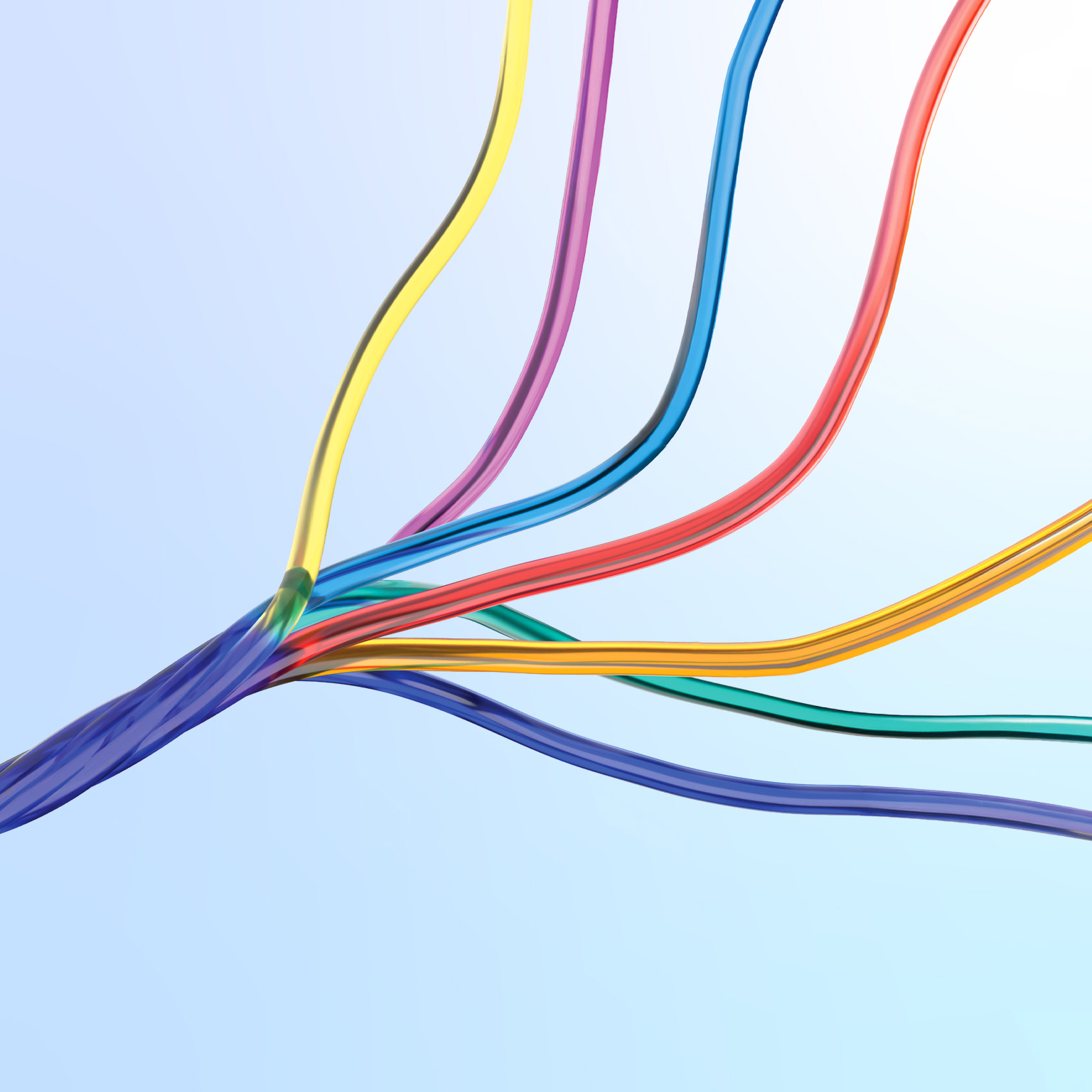Colorful, translucent wire like strands curve and intertwine across a pale blue background.