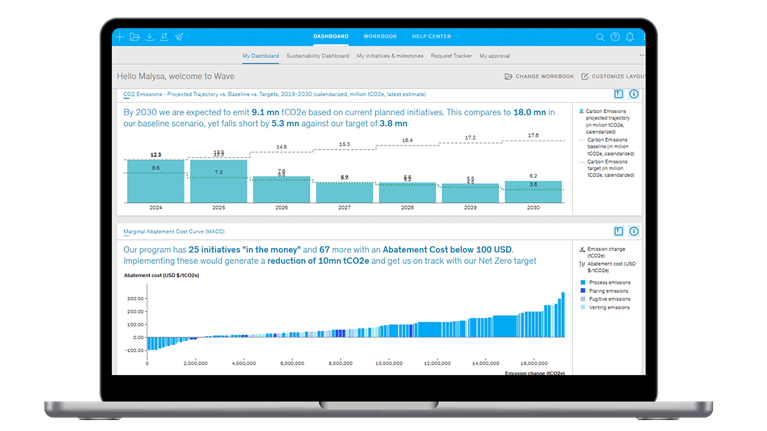 Laptop screen displaying McKinsey Wave tool graph