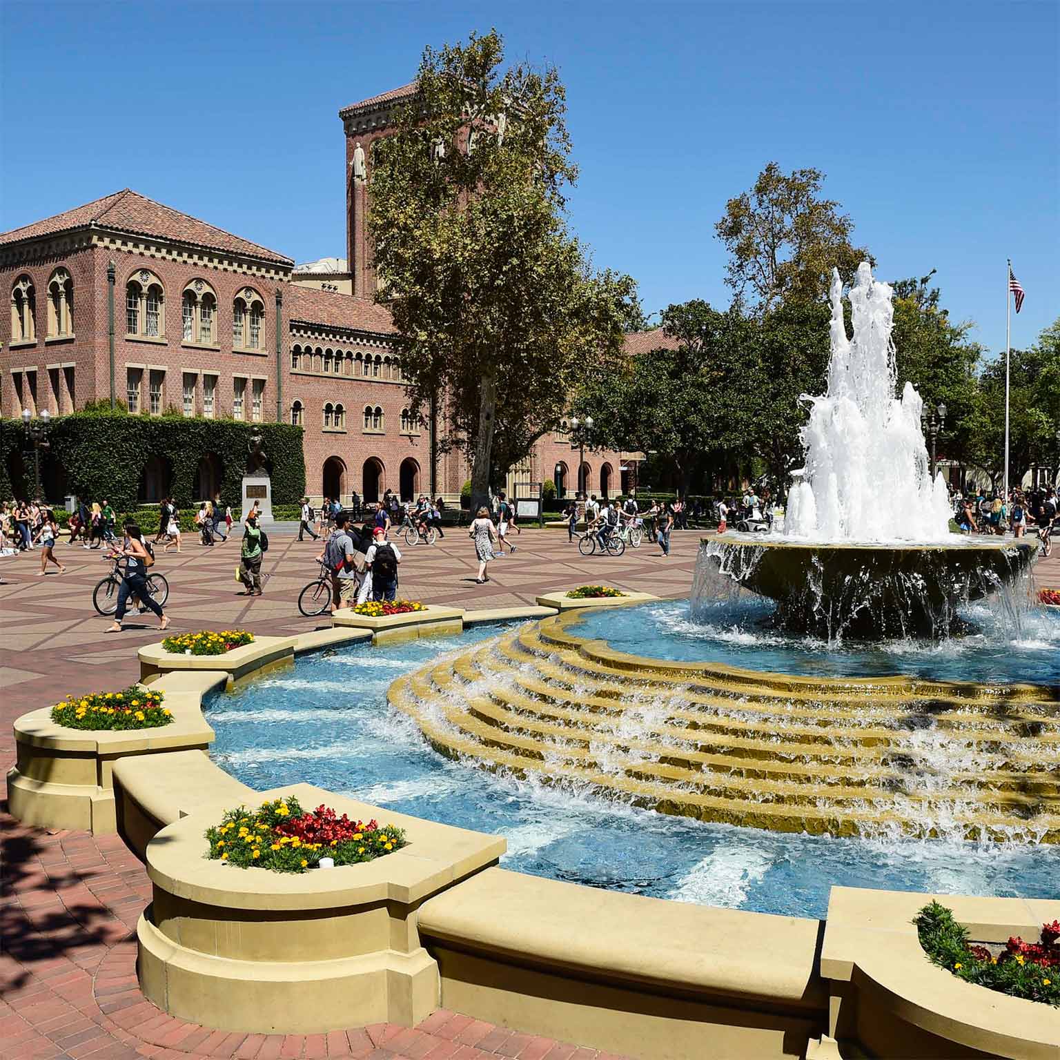 University of California, Los Angeles (UCLA) | McKinsey & Company