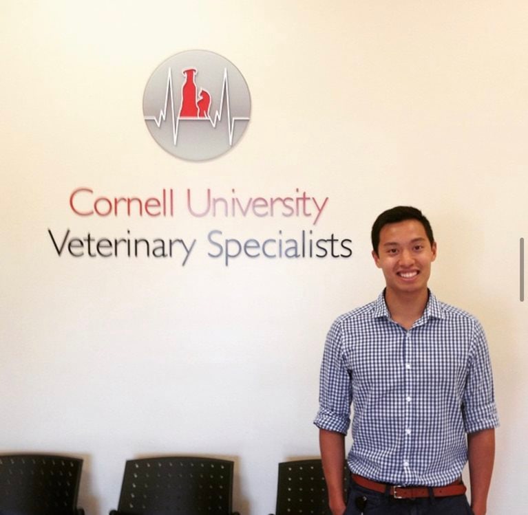 From diagnosing dogs to developing digital products: how this veterinarian became a consultant
