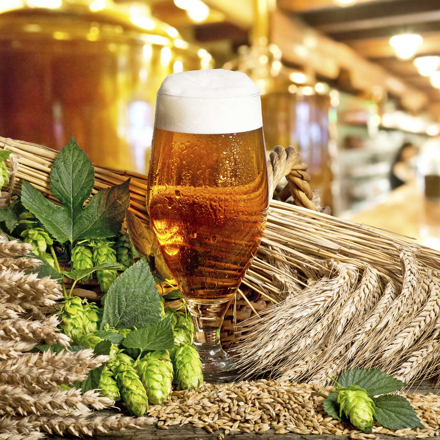 Sustainability and beer