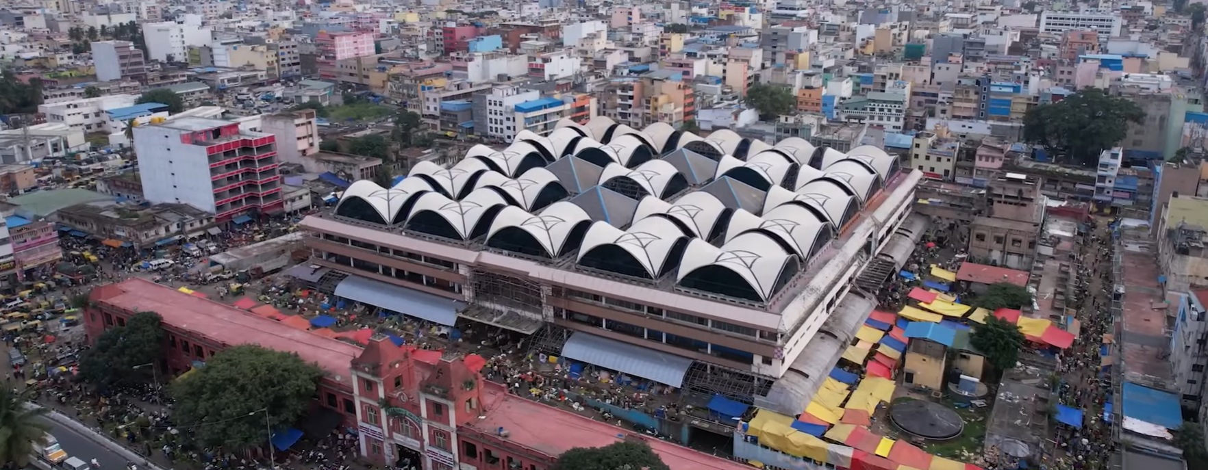 Meet Divya, director of digital delivery in Bangalore