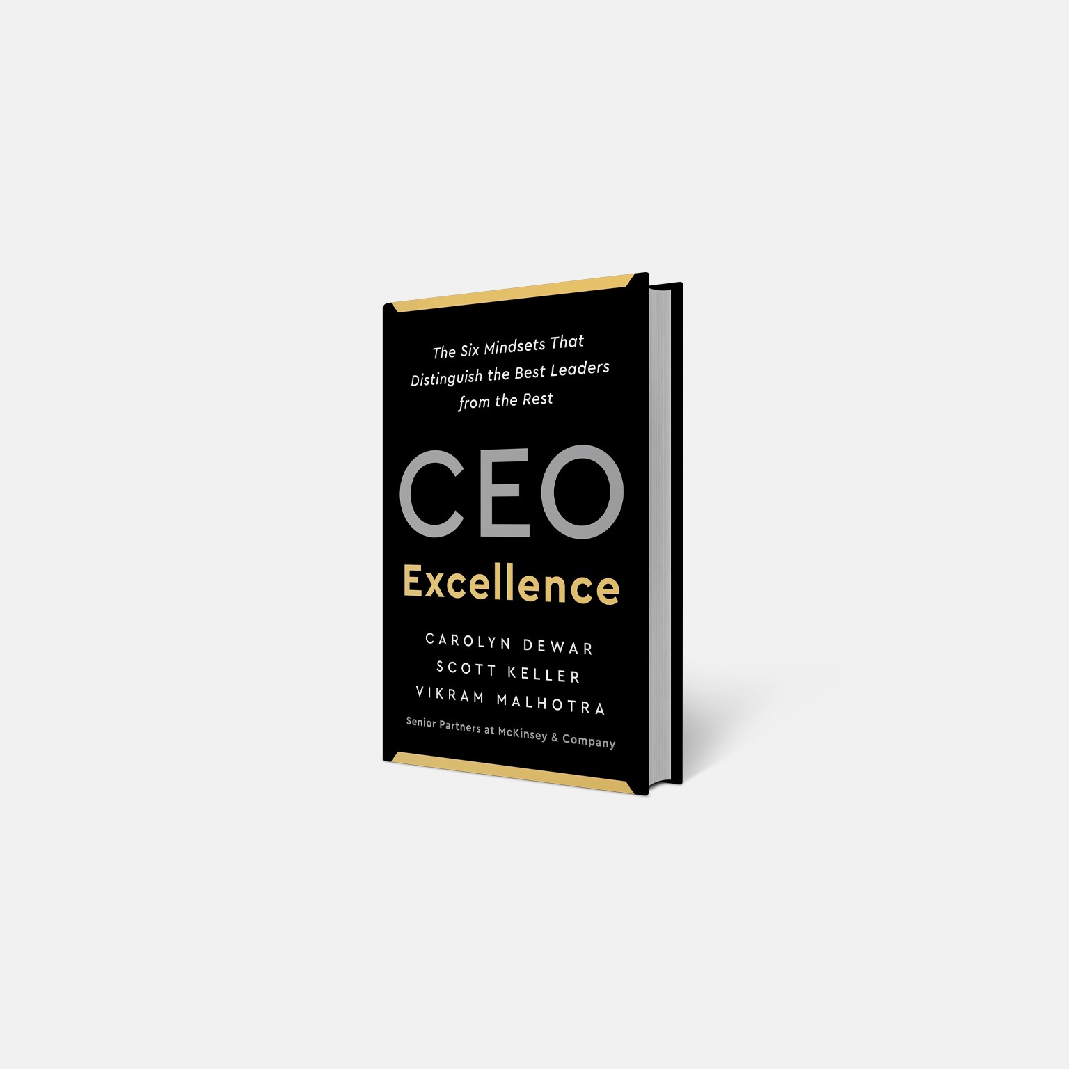 CEO Excellence book cover