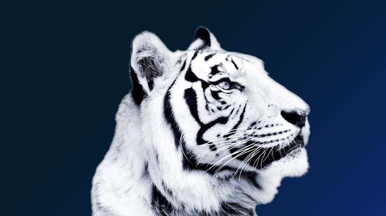 Asia’s future is now