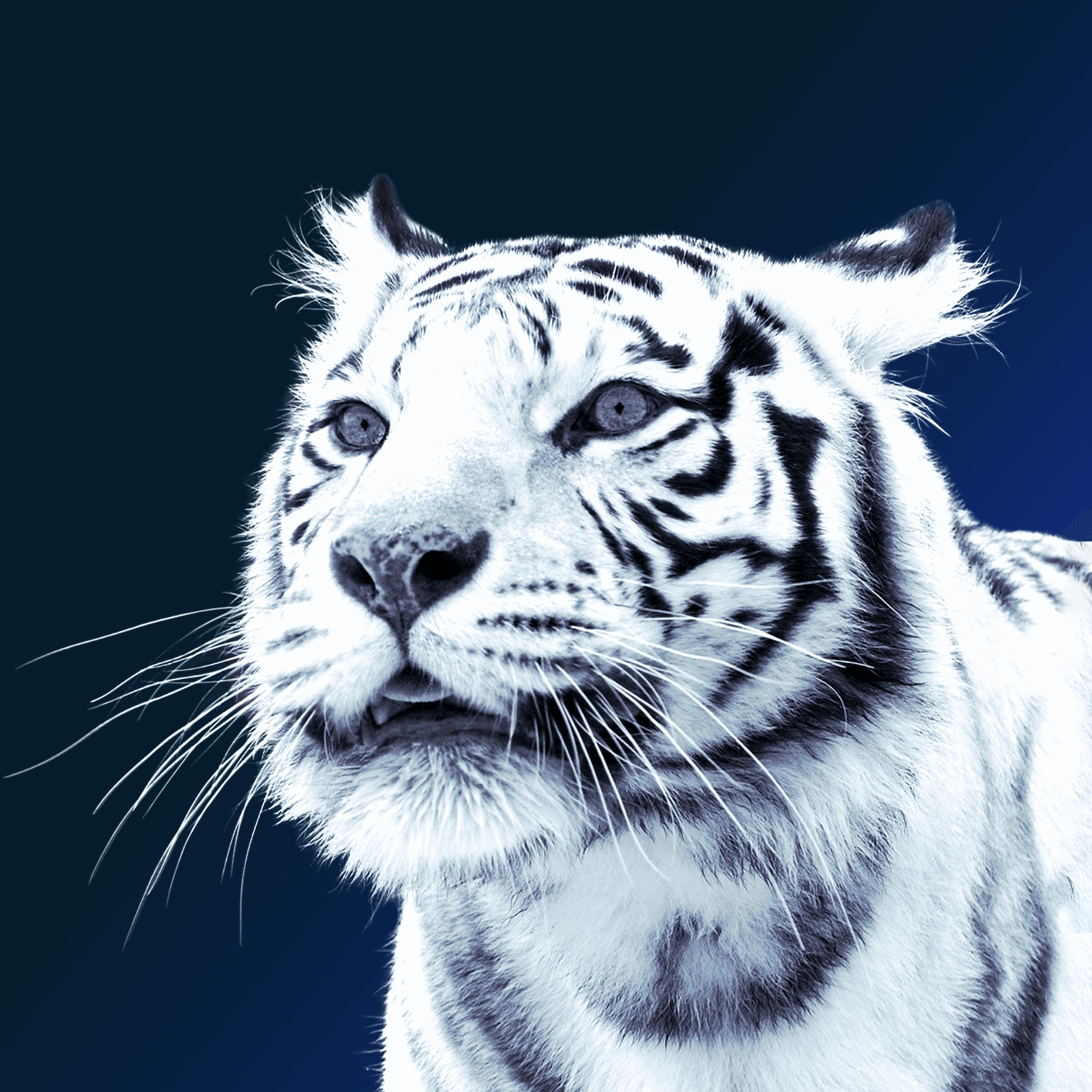 Beyond income: Redrawing Asia’s consumer map