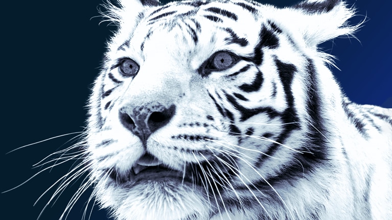 Beyond income: Redrawing Asia’s consumer map