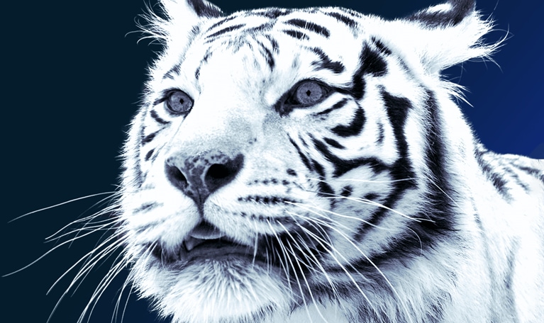 Beyond income: Redrawing Asia’s consumer map