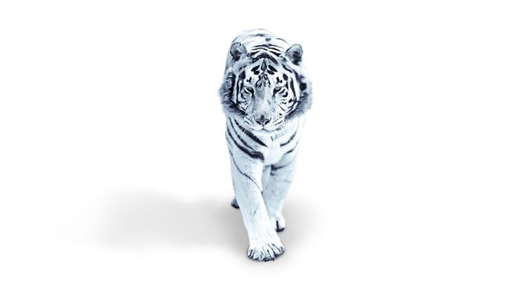 The future of Asia: Decoding the value and performance of corporate Asia