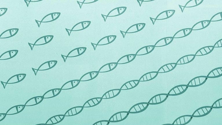 Building a tech-enabled ecosystem: An interview with Ping An’s Jessica Tan