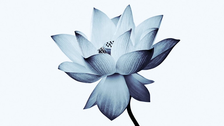 A $300 billion opportunity: Serving the emerging Black American consumer