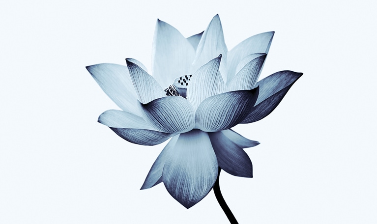 A $300 billion opportunity: Serving the emerging Black American consumer