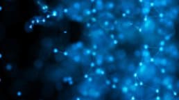 Central and Eastern Europe needs a new engine for growth