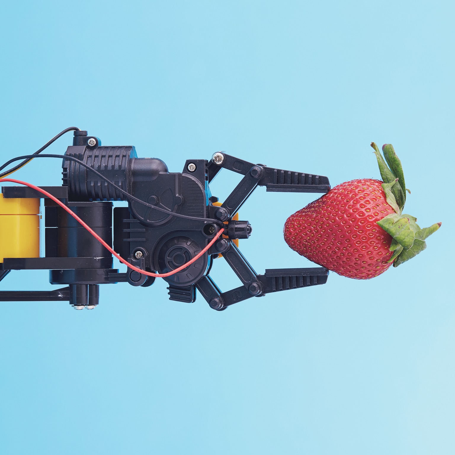 Automation and economic disparity: A new challenge for CEOs