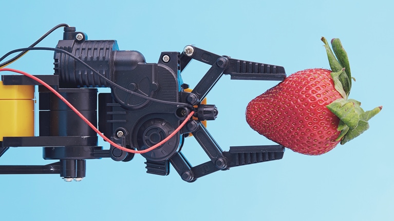 Automation and economic disparity: A new challenge for CEOs