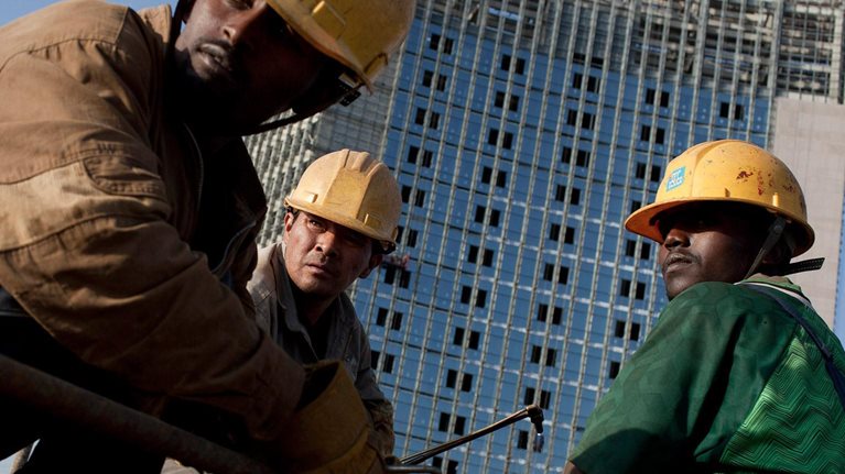 MGI_Lions_go_global_1536x1536_Original