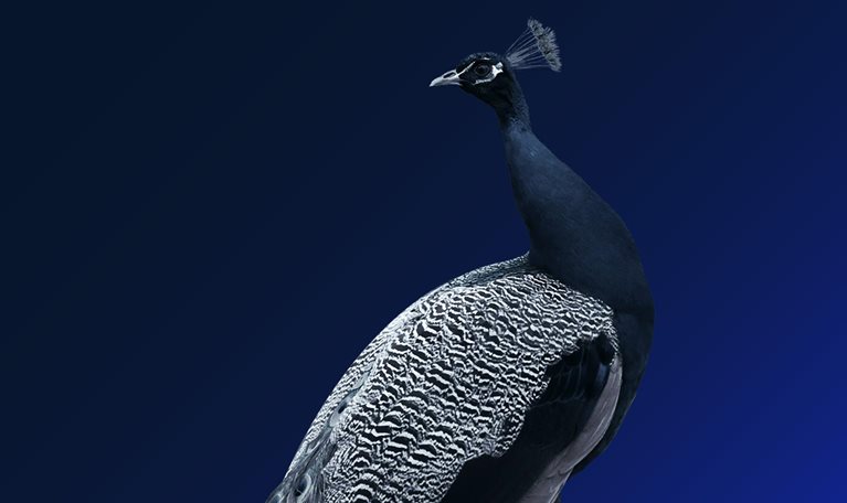 India’s economic turning point