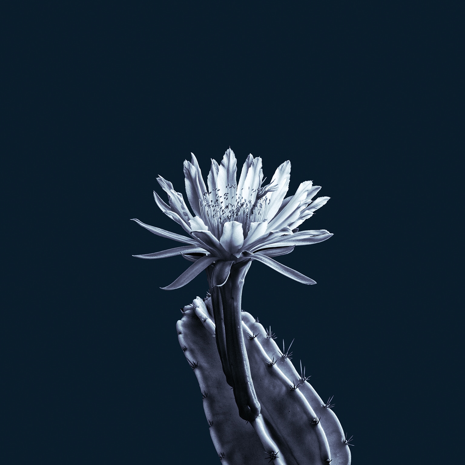 From a room called fear to a room called hope: A leadership agenda for troubled times