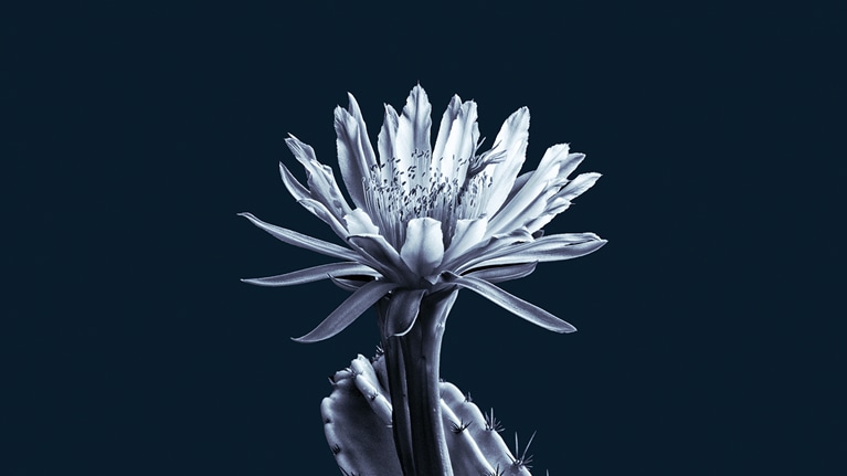 From a room called fear to a room called hope: A leadership agenda for troubled times